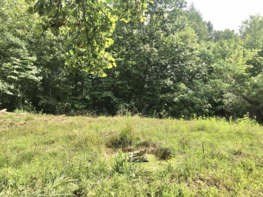 147 ACRES LAND HANSHAW ROAD, OLIVE HILL, KY 41164 - Image 1