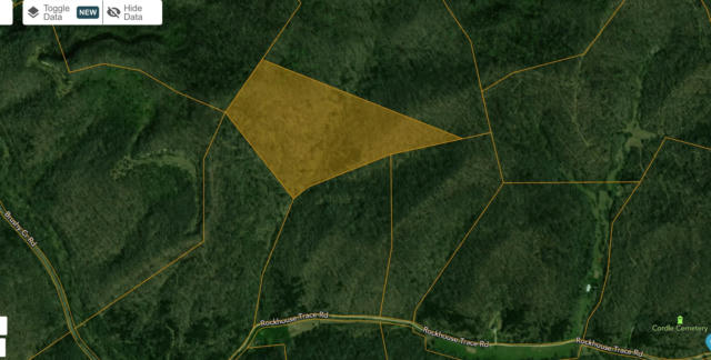 ROCKHOUSE TRACE ROAD, LOUISA, KY 41230 - Image 1