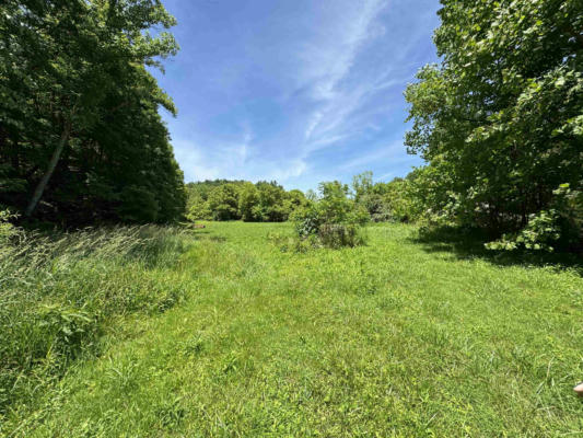 20 ACRES TRACE ROAD, CATLETTSBURG, KY 41129 - Image 1