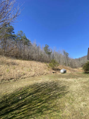 691 RIGHT FORK LEWIS CREEK RD, MARTHA, KY 41159, photo 3 of 19